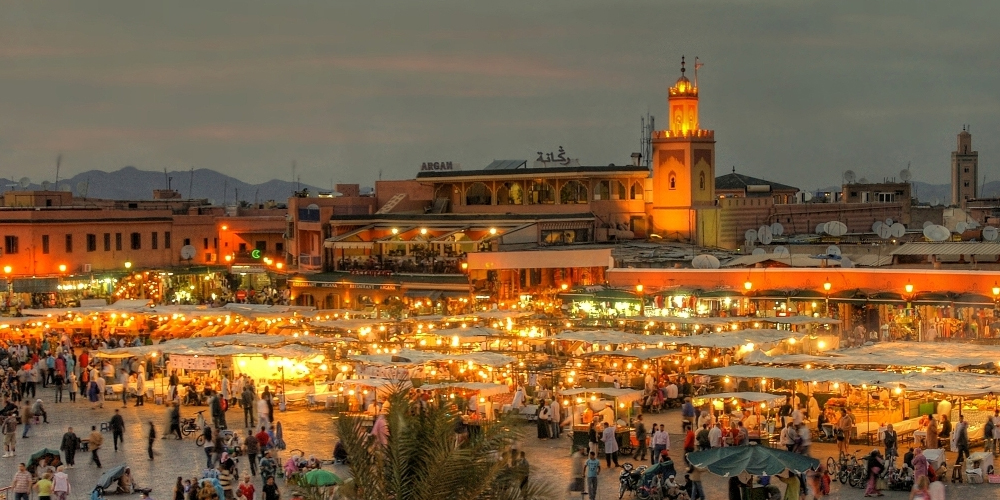  demart grup مغرب تبدأ تصدير إلى